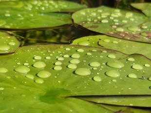20200930_135504